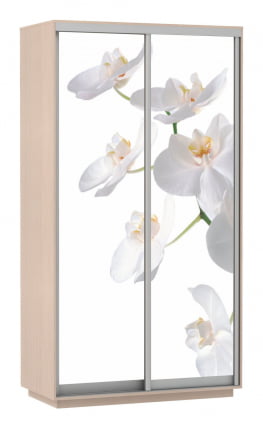 Шкаф-купе двухдверный Экспресс Дуо 1200х2200х Орхидея белая/Дуб молочный / 1200х2200h_0