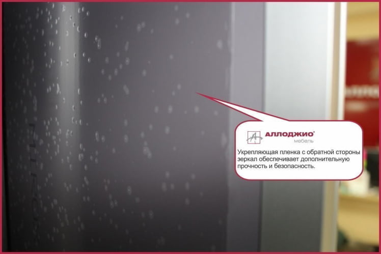 Шкаф-купе Хит-23-20-111 Ясень шимо темный_2