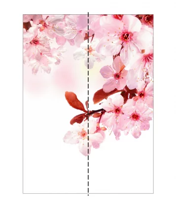 Шкаф-купе двухдверный Экспресс Хит Сакура/Белый снег_2