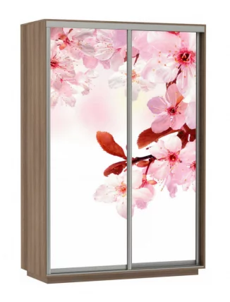 Шкаф-купе двухдверный Экспресс Дуо 1600х2200х Сакура/Ясень шимо тёмный / 1600х2200h_0