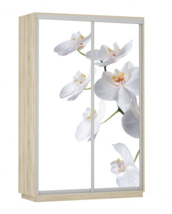 Шкаф-купе двухдверный Экспресс Дуо 1600х2400х Белая орхидея/Дуб сонома / 1600х2400h_0