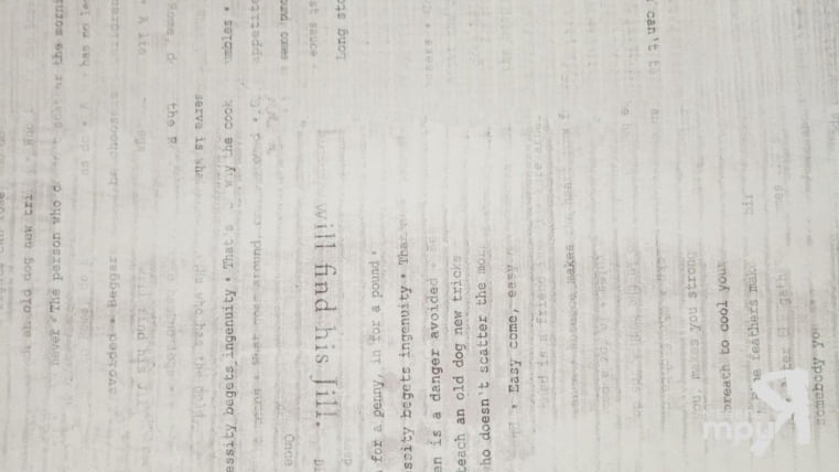 Панель пристенная 6х600х3000 Одри ПП6_60-301 Дэилй / Daily_0