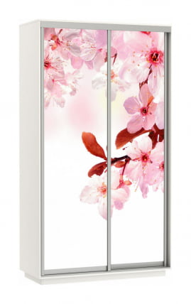 Шкаф-купе двухдверный Экспресс Дуо 1200х2200х Сакура/Белый снег / 1200х2200h_0