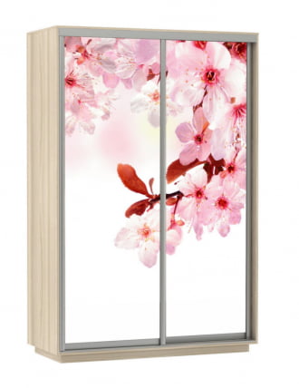Шкаф-купе двухдверный Экспресс Дуо 1600х2400х Сакура/Ясень шимо светлый / 1600х2400h_0