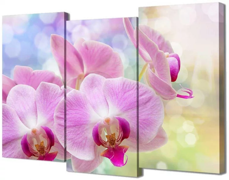 Модульная картина Топлигхт ТЛ-М2075 / Toplight TL-M2075_0