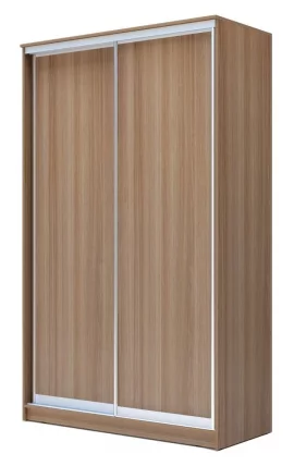 Шкаф-купе Хит-23-17-11 Ясень шимо темный_0