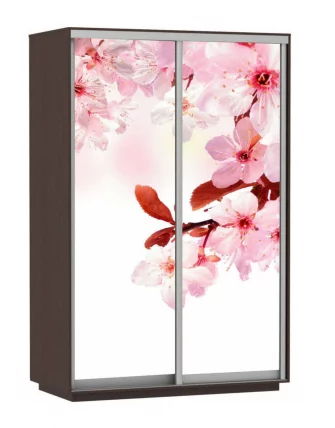 Шкаф-купе двухдверный Экспресс Дуо 1400х2200х Сакура/Венге / 1400х2200h_0