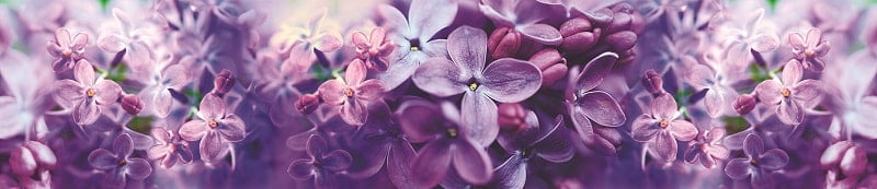 Глянцевый фартук (КОМПОЗИТ) КМ 244 / KM_0