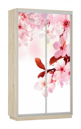 Шкаф-купе двухдверный Экспресс Дуо 1200х2200х Сакура/Дуб сонома / 1200х2200h_0