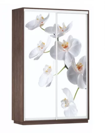 Шкаф-купе двухдверный Экспресс Дуо 1600х2400х Белая орхидея/Венге / 1600х2400h_0