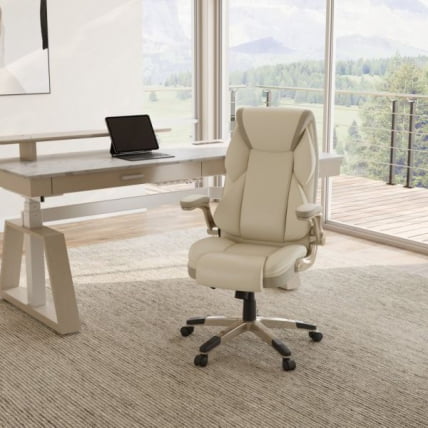 Эргономичное компьютерное кресло Еурека ОC11-ОВ, белое / Eureka OC11-OW,_10