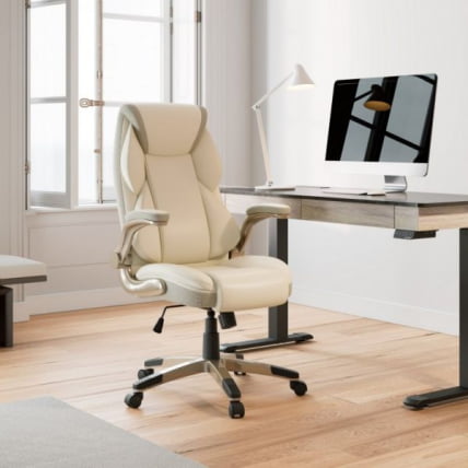 Эргономичное компьютерное кресло Еурека ОC11-ОВ, белое / Eureka OC11-OW,_5