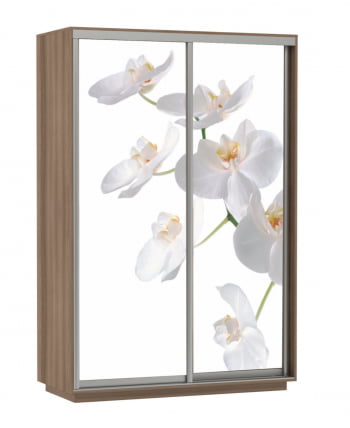 Шкаф-купе двухдверный Экспресс Дуо 1600х2400х Белая орхидея/Ясень шимо тёмный / 1600х2400h_0