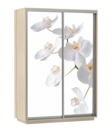 Шкаф-купе двухдверный Экспресс Дуо 1600х2400х Белая орхидея/Ясень шимо светлый / 1600х2400h_0