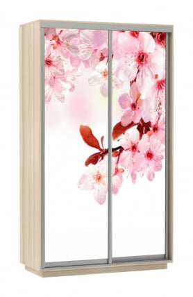 Шкаф-купе двухдверный Экспресс Дуо 1200х2200х Сакура/Ясень шимо светлый / 1200х2200h_0