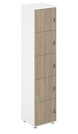 Локер 5 ячеек Сигма SG.818.WH.OD Белый Дуб темный / Sigma_0