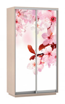 Шкаф-купе двухдверный Экспресс Дуо 1200х2400х Сакура/Дуб молочный / 1200х2400h_0