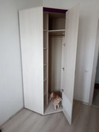 Шкаф для одежды угловой (правый) Мегаполис 55.03 Сосна Астрид_13