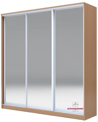 Шкаф-купе Хит-24-20-555 Бук бавария светлый_0