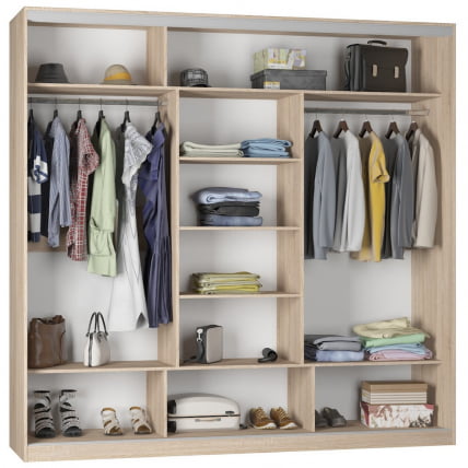 Шкаф-купе Б-230х235х60-2(ДСС-Д10Д10Д10) / B-230х235х60-2(ДСС-D10D10D10)_1