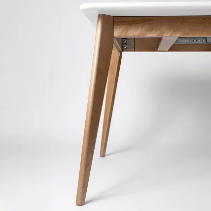 Стол обеденный Пегас Плус 160кс95 Морилка Дуб золотой Эмаль белая / Plus 160x95_3