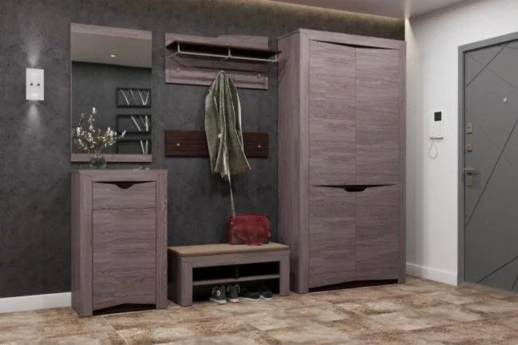 Шкаф для одежды Лючия 33.18 Ясень анкор темный Венге_2