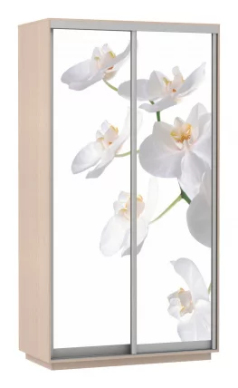 Шкаф-купе двухдверный Экспресс Дуо 1200х2400х Орхидея белая/Дуб молочный / 1200х2400h_0