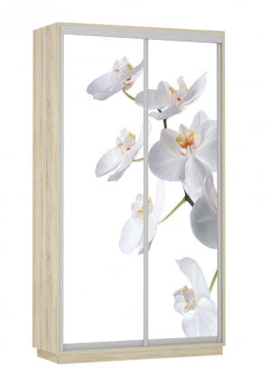 Шкаф-купе двухдверный Экспресс Дуо 1200х2400х Орхидея белая/Дуб сонома / 1200х2400h_0
