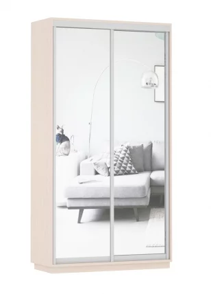 Шкаф-купе двухдверный Экспресс Дуо Экспенс 1200х2200х Дуб молочный / 1200х2200h_0