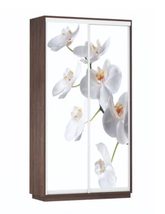 Шкаф-купе двухдверный Экспресс Дуо 1200х2400х Орхидея белая/Венге / 1200х2400h_0