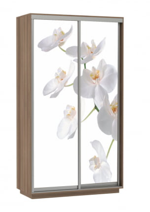Шкаф-купе двухдверный Экспресс Дуо 1200х2200х Орхидея белая/Ясень шимо тёмный / 1200х2200h_0