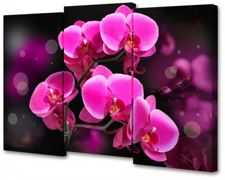 Модульная картина Топлигхт ТЛ-М2074 / Toplight TL-M2074_0