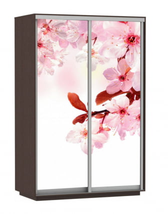 Шкаф-купе двухдверный Экспресс Дуо 1600х2400х Сакура/Венге / 1600х2400h_0