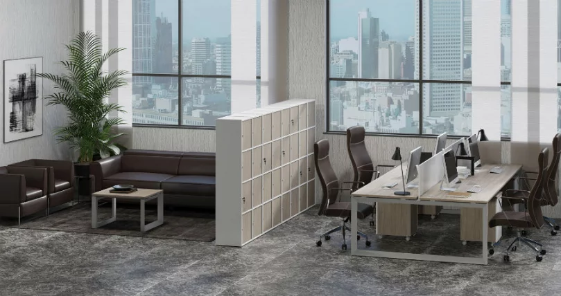 Готовый комплект ЛОCКЕР плус №3 Дуб Аттик/Белый / LOCKER plus_0