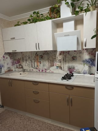 Глянцевый фартук (КОМПОЗИТ) КМ 55 / KM_3